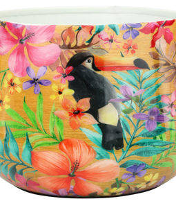 8222 SURPOT PARADISE BIRD